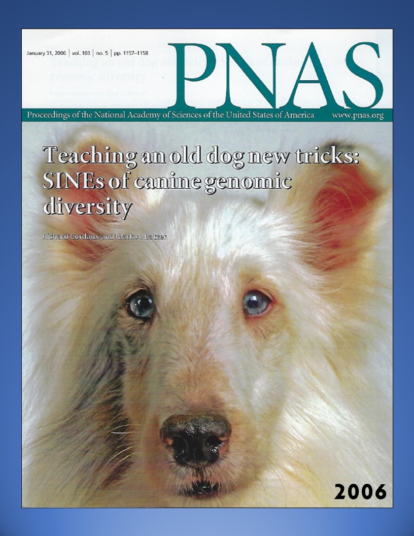 PNAS 2006 Cover