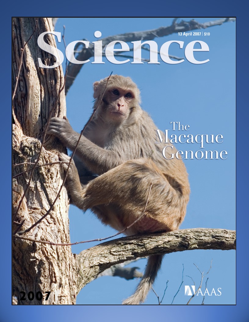 Science 2007 Cover